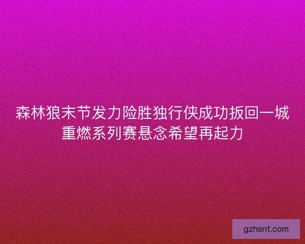 森林狼末节发力险胜独行侠成功扳回一城重燃系列赛悬念希望再起力